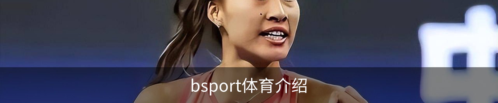 bsport体育介绍